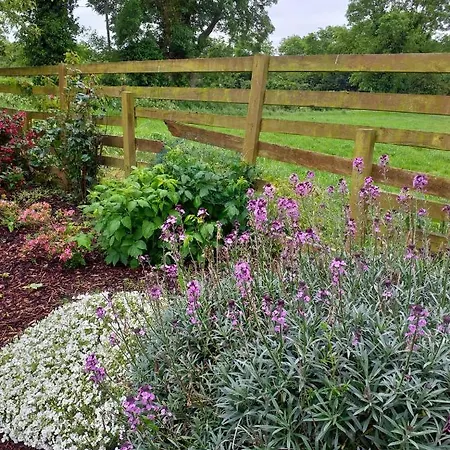 Nick & Sandra's * Slane