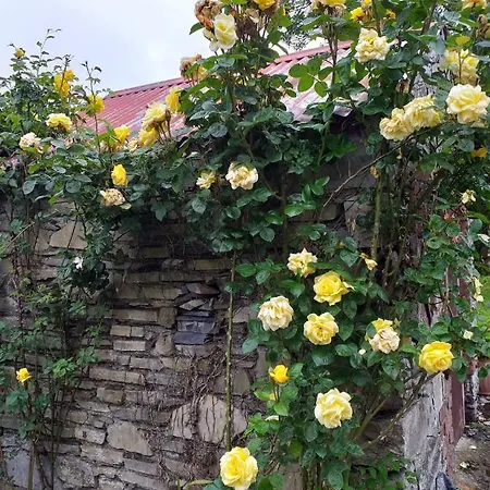 Nick & Sandra's * Slane