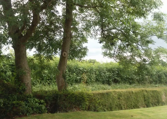 Nick & Sandra's * Slane