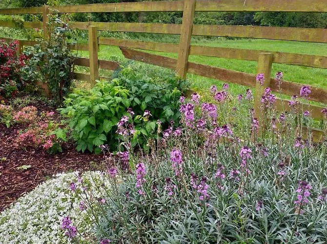 Nick & Sandra's * Slane