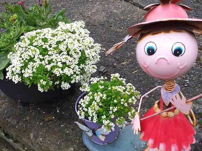 Lejlighed Nick & Sandra's *