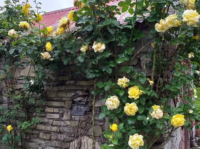 Nick&sandra's * Slane